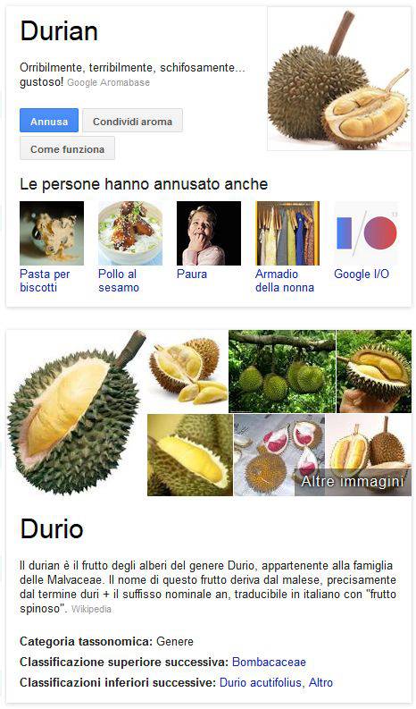 FireShot Screen Capture 028 - durian - Cerca con Google - www google com search qDurianhlit