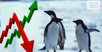 Arrivato Penguin: google stringe attorno al White HAT SEO