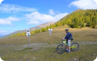 Maxwebtrento in Mountain Bike